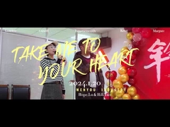 Resina epossidica elettrica ad alta resistenza all'impatto